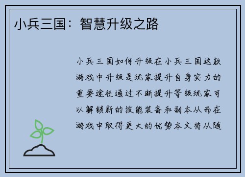 小兵三国：智慧升级之路